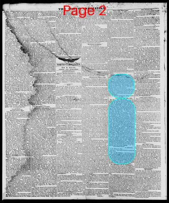Page thumbnail for The North Carolinian