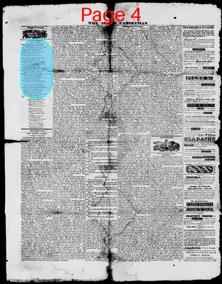 Page thumbnail for The North Carolinian