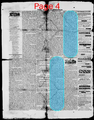 Page thumbnail for The North Carolinian