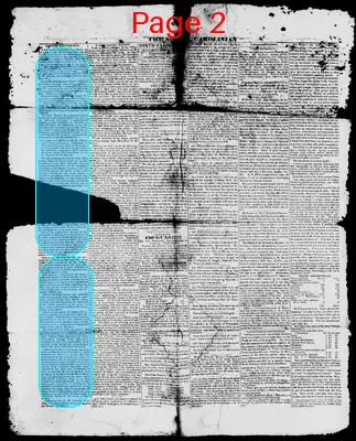 Page thumbnail for The North Carolinian