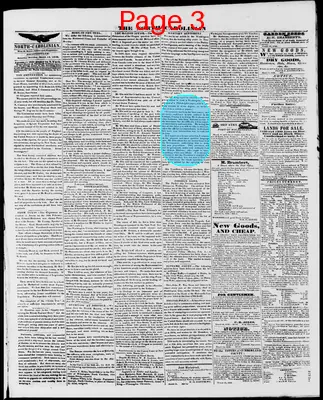 Page thumbnail for The North Carolinian