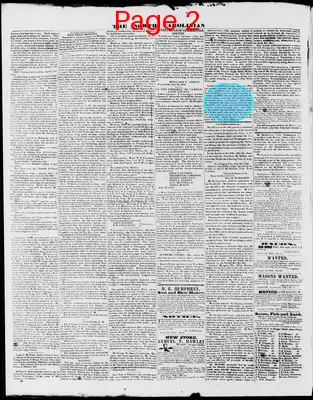 Page thumbnail for The North Carolinian