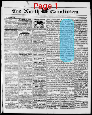 Page thumbnail for The North Carolinian
