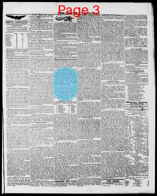 Page thumbnail for The North Carolinian