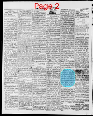 Page thumbnail for The North Carolinian