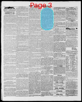 Page thumbnail for The North Carolinian