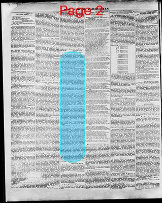 Page thumbnail for The North Carolinian