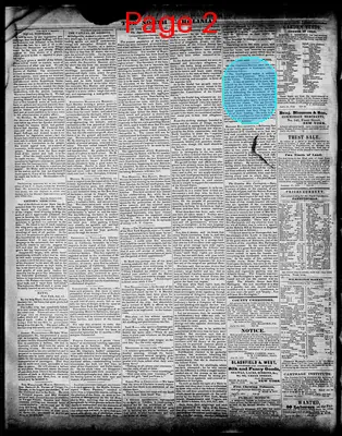 Page thumbnail for The North Carolinian