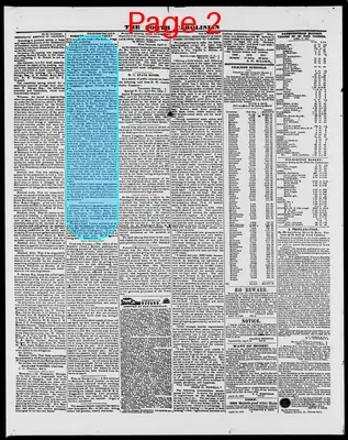 Page thumbnail for The North Carolinian