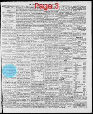 Page thumbnail for The North Carolinian