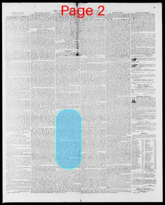 Page thumbnail for The North Carolinian