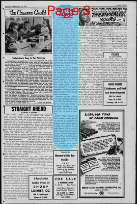 Page thumbnail for Arizona Sun