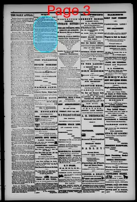 Page thumbnail for The Carson Daily Appeal