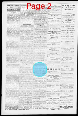 Page thumbnail for The Carson Daily Appeal
