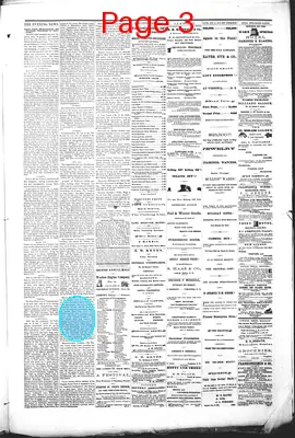 Page thumbnail for Gold Hill Daily News