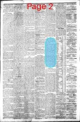 Page thumbnail for Gold Hill Daily News