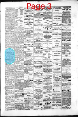 Page thumbnail for Gold Hill Daily News