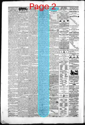 Page thumbnail for Gold Hill Daily News