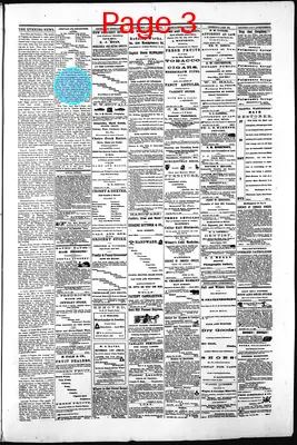 Page thumbnail for Gold Hill Daily News