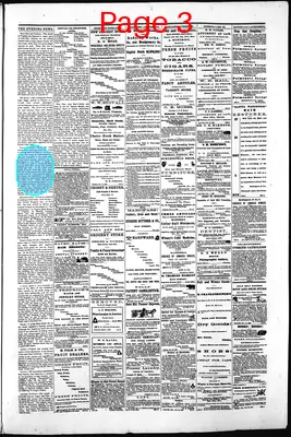 Page thumbnail for Gold Hill Daily News