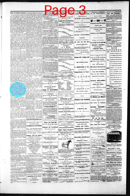 Page thumbnail for Gold Hill Daily News