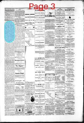 Page thumbnail for Gold Hill Daily News
