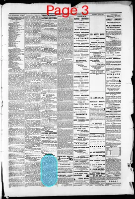 Page thumbnail for Gold Hill Daily News