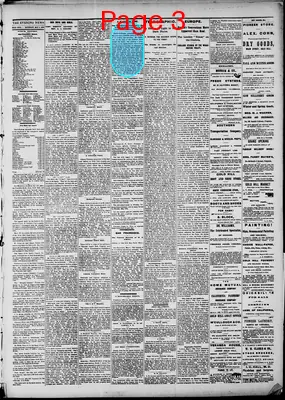 Page thumbnail for Gold Hill Daily News