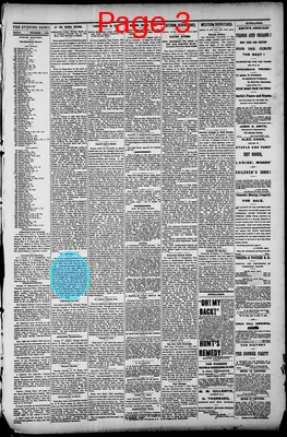 Page thumbnail for Gold Hill Daily News