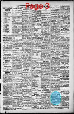 Page thumbnail for Gold Hill Daily News