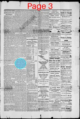 Page thumbnail for The White Pine News