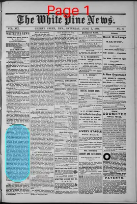 Page thumbnail for The White Pine News
