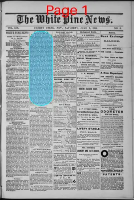 Page thumbnail for The White Pine News