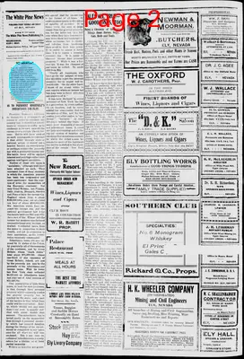 Page thumbnail for The White Pine News