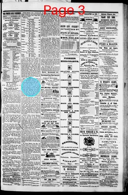 Page thumbnail for Pioche Daily Record