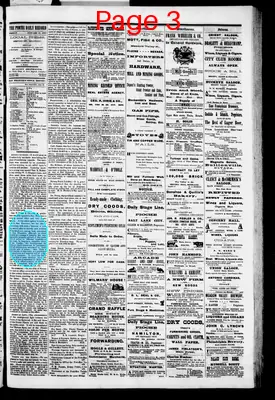 Page thumbnail for Pioche Daily Record