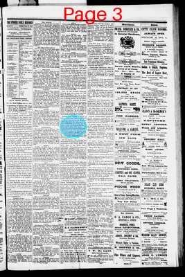 Page thumbnail for Pioche Daily Record