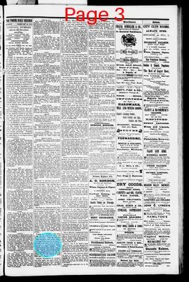 Page thumbnail for Pioche Daily Record
