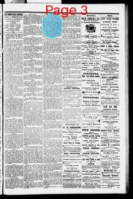 Page thumbnail for Pioche Daily Record