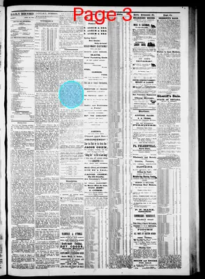 Page thumbnail for Pioche Daily Record