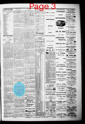 Page thumbnail for Pioche Daily Record