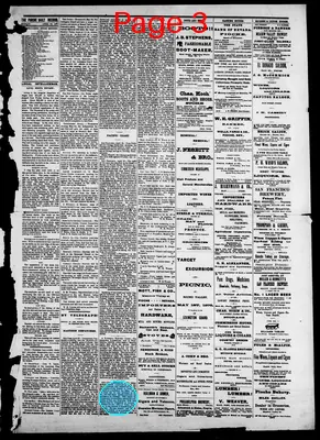 Page thumbnail for Pioche Daily Record