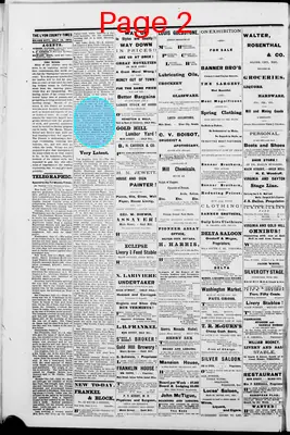 Page thumbnail for Lyon County Times