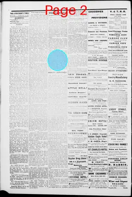Page thumbnail for Lyon County Times