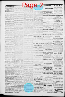 Page thumbnail for Lyon County Times