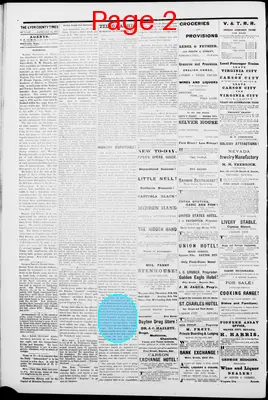 Page thumbnail for Lyon County Times