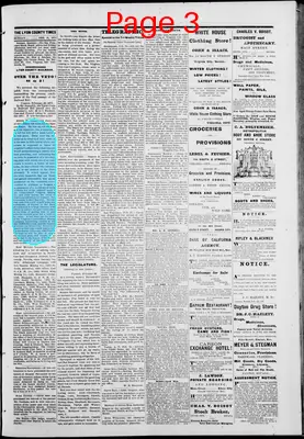 Page thumbnail for Lyon County Times