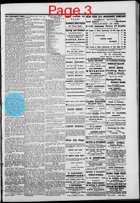 Page thumbnail for Lyon County Times