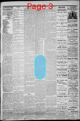 Page thumbnail for Lyon County Times