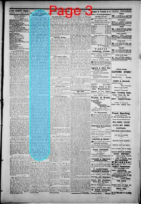 Page thumbnail for Lyon County Times